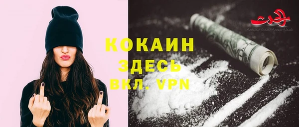 мдпв Кодинск