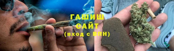 мдпв Кодинск
