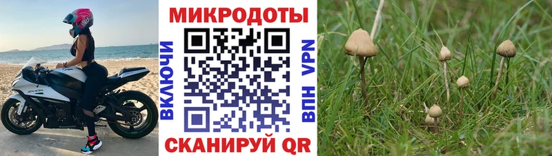 Псилоцибиновые грибы ЛСД Клин